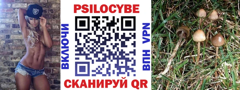 Псилоцибиновые грибы прущие грибы  Купить  Донецк 